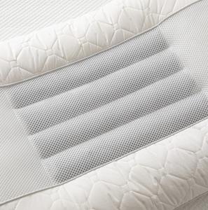 真品家纺全棉决明子枕芯乳胶保健枕头一对装护颈枕单人家用不塌陷
